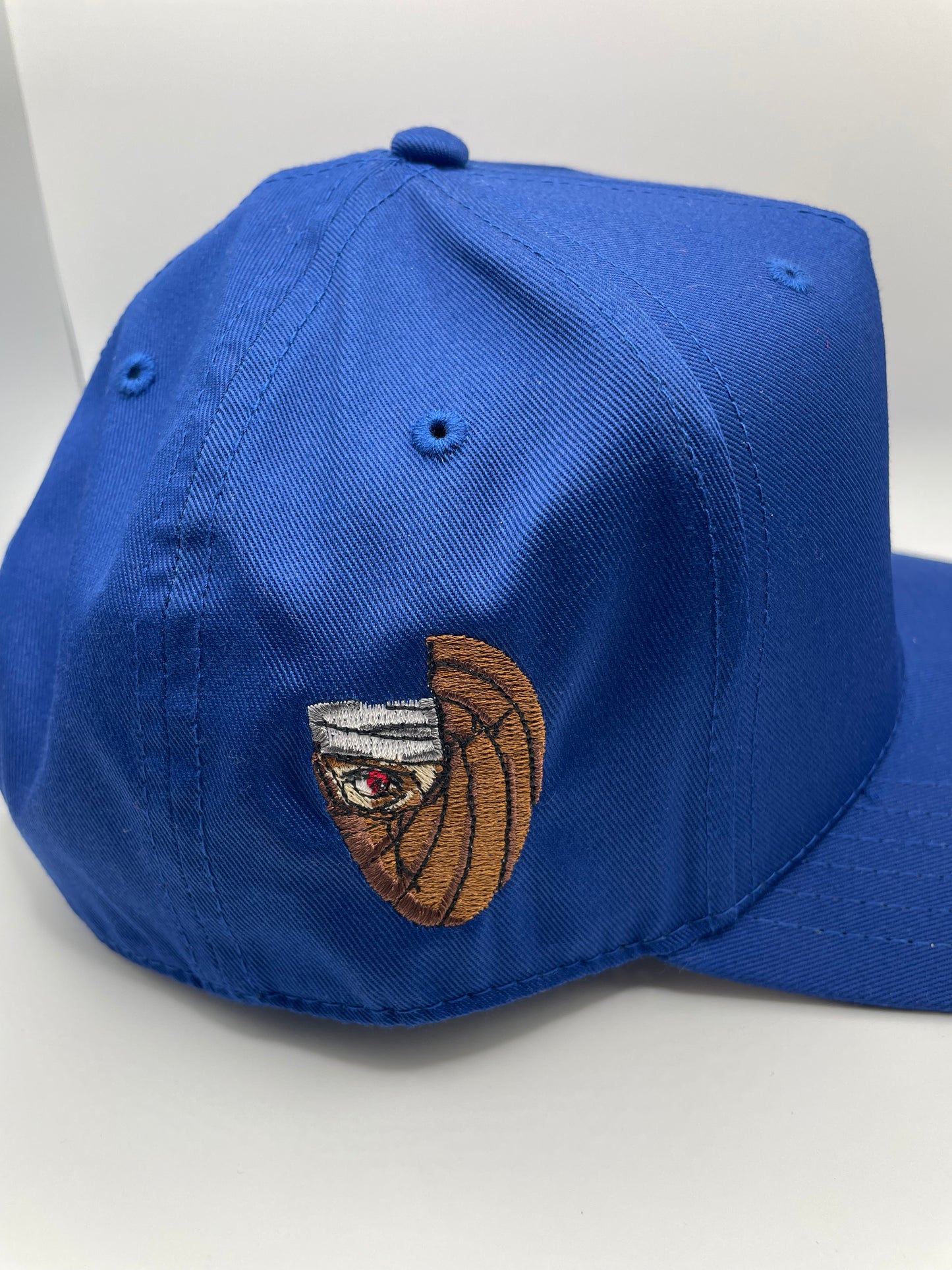 The Spiral Dimension Snapback (PRE ORDER ONLY)