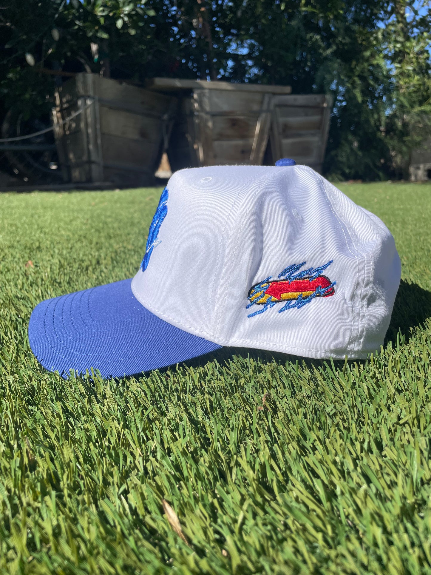 Lightning Speed Snapback