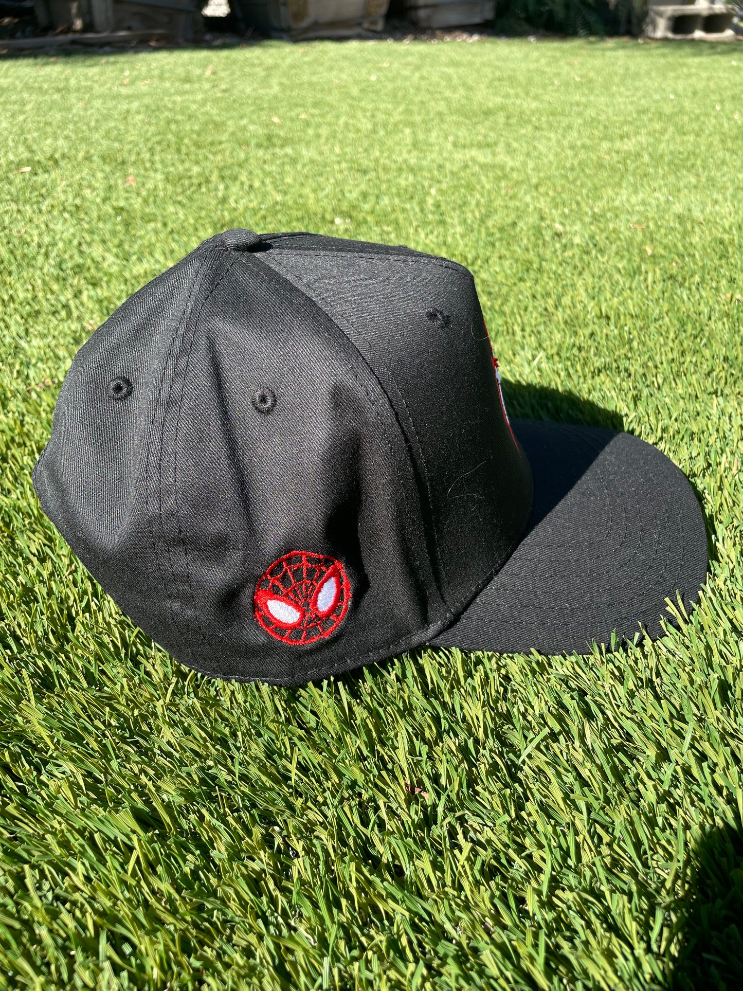 Beyond Limits East Coast Snapback